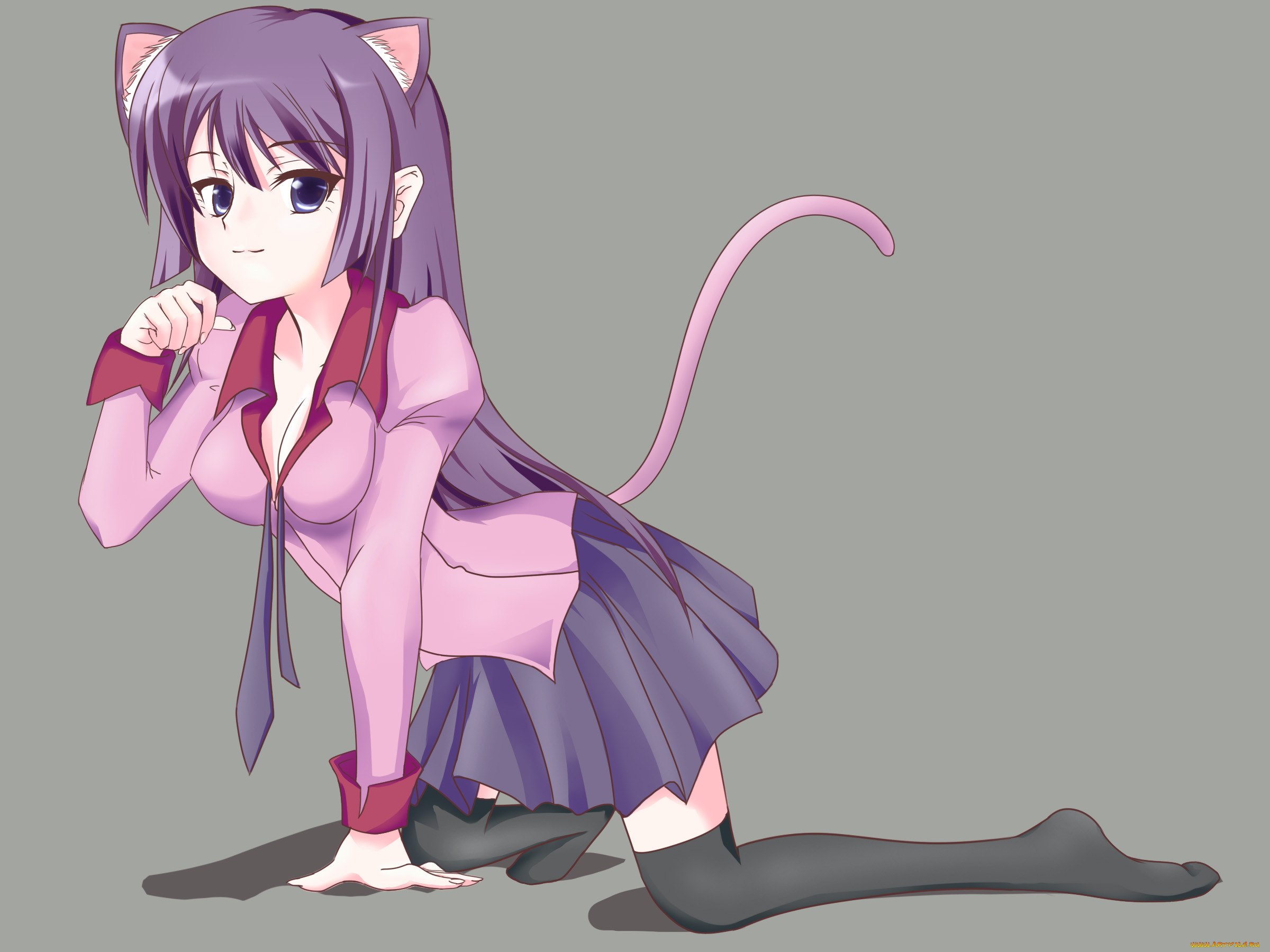 , bakemonogatari, , , 